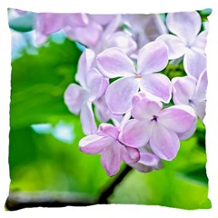Elegant Pink Lilacs In Spring Large Cushion Case (two Sides) by FunnyCow