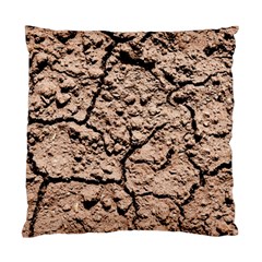 Earth  Light Brown Wet Soil Standard Cushion Case (two Sides) by FunnyCow