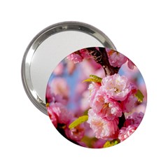 Flowering Almond Flowersg 2 25  Handbag Mirrors by FunnyCow