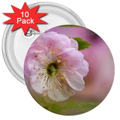 Single Almond Flower 3  Buttons (10 Pack)  by FunnyCow