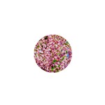 Almond Tree In Bloom 1  Mini Buttons Front