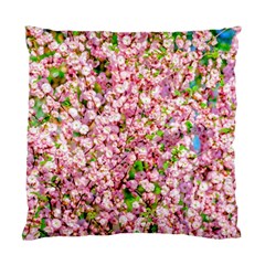 Almond Tree In Bloom Standard Cushion Case (two Sides) by FunnyCow