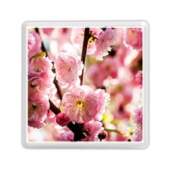 Blooming Almond At Sunset Memory Card Reader (square) by FunnyCow