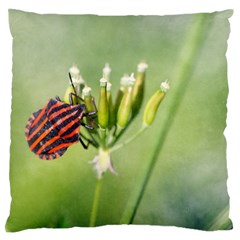 One More Bottle Does Not Hurt Large Flano Cushion Case (two Sides) by FunnyCow