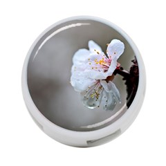 Rainy Day Of Hanami Season 4-port Usb Hub (one Side) by FunnyCow