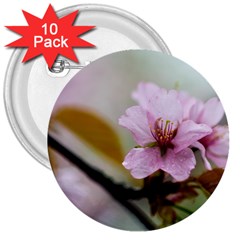 Soft Rains Of Spring 3  Buttons (10 Pack)  by FunnyCow