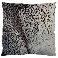 Shadow Large Flano Cushion Case (two Sides) by WILLBIRDWELL