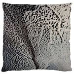 SHADOW Large Flano Cushion Case (Two Sides) Front
