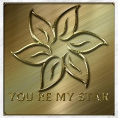 You Are My Star Canvas 12  X 12  by NSGLOBALDESIGNS2