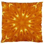 Kaleidoscopic Flower Large Flano Cushion Case (One Side) Front