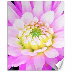 Pretty Pink, White And Yellow Cactus Dahlia Macro Canvas 16  X 20  by myrubiogarden