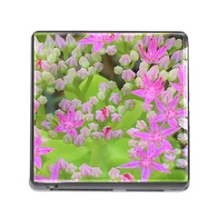 Hot Pink Succulent Sedum With Fleshy Green Leaves Memory Card Reader (square 5 Slot) by myrubiogarden