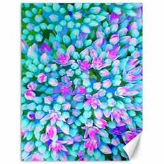 Blue And Hot Pink Succulent Sedum Flowers Detail Canvas 18  X 24  by myrubiogarden