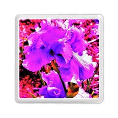 Abstract Ultra Violet Purple Iris On Red And Pink Memory Card Reader (square) by myrubiogarden
