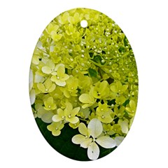 Elegant Chartreuse Green Limelight Hydrangea Macro Ornament (oval) by myrubiogarden
