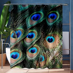 Peacock Feathers Bird Colorful Shower Curtain 60  X 72  (medium)  by Wegoenart