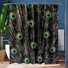 Background Peacock Feathers Shower Curtain 60  X 72  (medium)  by Wegoenart