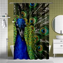 Peacock Close Up Plumage Bird Head Shower Curtain 48  X 72  (small)  by Wegoenart