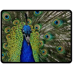 Peacock Close Up Plumage Bird Head Double Sided Fleece Blanket (large)  by Wegoenart