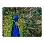 Peacock Close Up Plumage Bird Head Double Sided Flano Blanket (Mini)  35 x27  Blanket Front