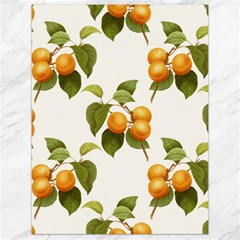 Apricot Fruit Vintage Art Canvas 18  X 24  by Pakrebo