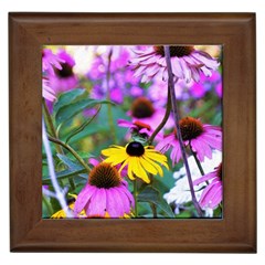 Yellow Flowers In The Purple Coneflower Garden Framed Tiles by myrubiogarden