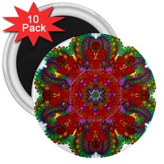Mandala Fractal Graphic Design 3  Magnets (10 Pack)  by Pakrebo