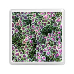 Ivy Lace Flower Flora Garden Memory Card Reader (square) by Pakrebo