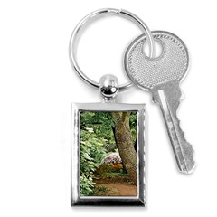 Garden Of The Phoenix Key Chains (rectangle)  by Riverwoman