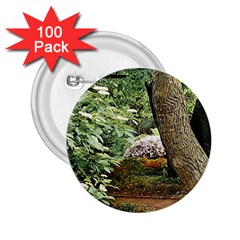 Garden Of The Phoenix 2 25  Buttons (100 Pack)  by Riverwoman