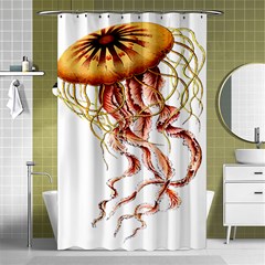 Animal Art Forms In Nature Jellyfish Shower Curtain 48  X 72  (small)  by Wegoenart