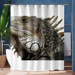 Iguana Portrait Profile Close Up Shower Curtain 60  X 72  (medium)  by Wegoenart