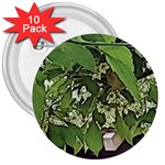 Garden of the Phoenix  3  Buttons (10 pack)  Front