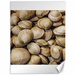 Shellfishs Photo Print Pattern Canvas 36  X 48  by dflcprintsclothing