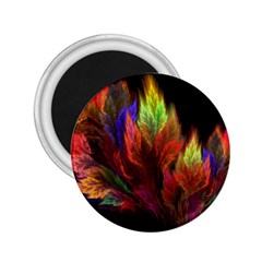 Abstract Digital Art Fractal 2 25  Magnets by Sudhe
