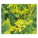 Garden of the Phoenix Double Sided Flano Blanket (Small)  50 x40  Blanket Back