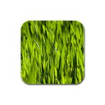 Agricultural field   Rubber Square Coaster (4 pack)  Front