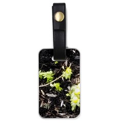 Signs Of Spring Luggage Tags (one Side)  by Riverwoman