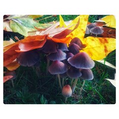 Mushrooms Double Sided Flano Blanket (medium)  by okhismakingart