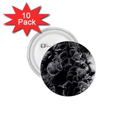 Tree Fungus Branch Vertical High Contrast 1 75  Buttons (10 Pack) by okhismakingart