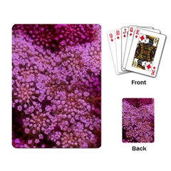 Pink Queen Anne s Lace Landscape Playing Cards Single Design by okhismakingart