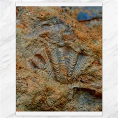Shell Fossil Canvas 36  X 48  by okhismakingart