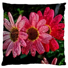Three Dripping Flowers Large Flano Cushion Case (two Sides) by okhismakingart