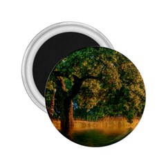 Nature Tree Sunset Giraffe Animal 2 25  Magnets by Pakrebo