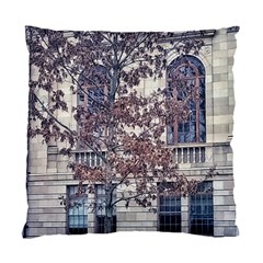 Bowling Green State University Standard Cushion Case (two Sides) by Riverwoman
