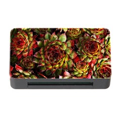 Plant Succulents Succulent Memory Card Reader With Cf by Pakrebo