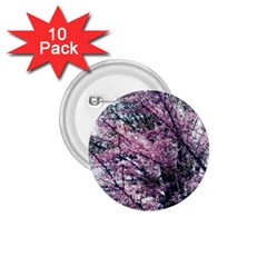 Ohio Redbud 1 75  Buttons (10 Pack) by Riverwoman