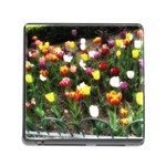 Tulips  Memory Card Reader (Square 5 Slot) Front