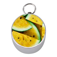 Sliced Watermelon Lot Mini Silver Compasses by Pakrebo