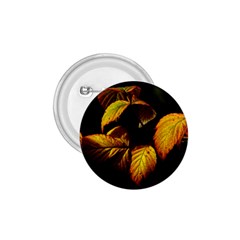 Nature Yellow Plant Leaves 1 75  Buttons by Pakrebo